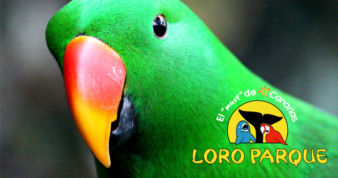 Loro Parque Tenerife